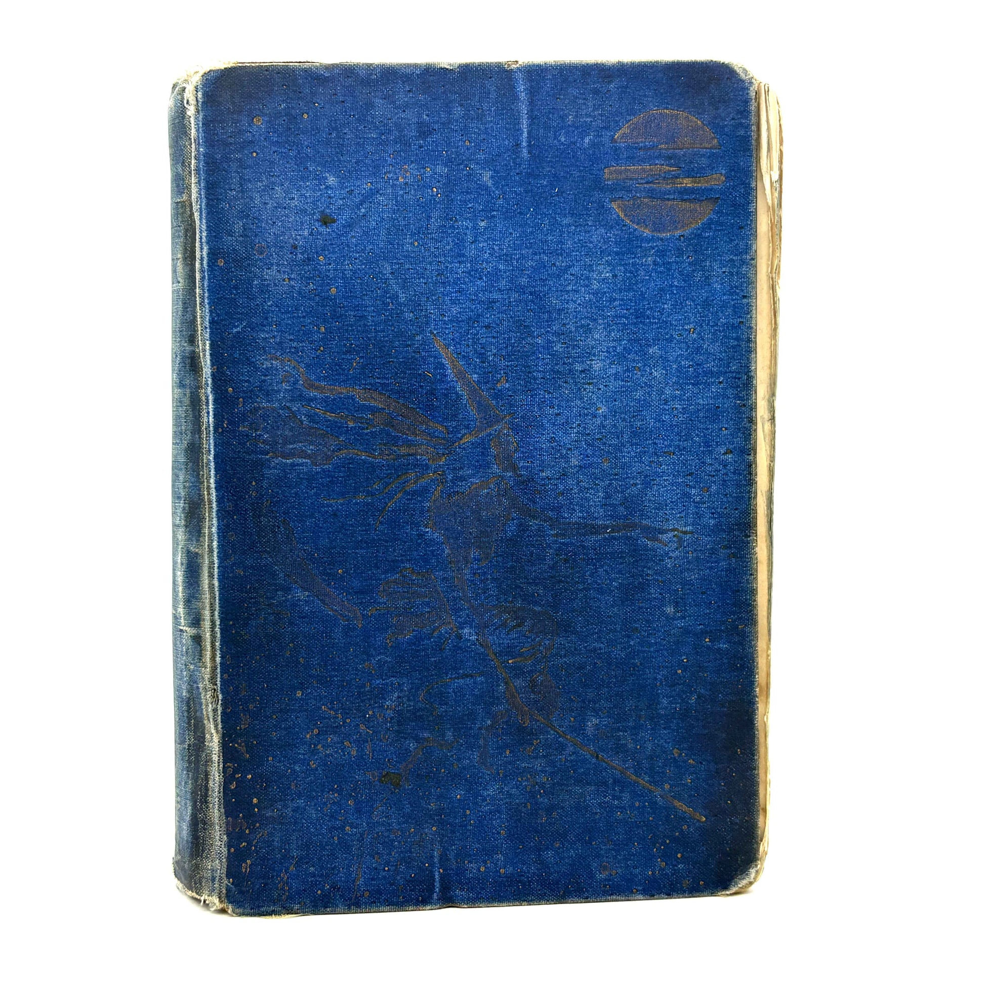LANG, Andrew "The Blue Fairy Book" [Longmans Green & Co, 1889] 1st Edition