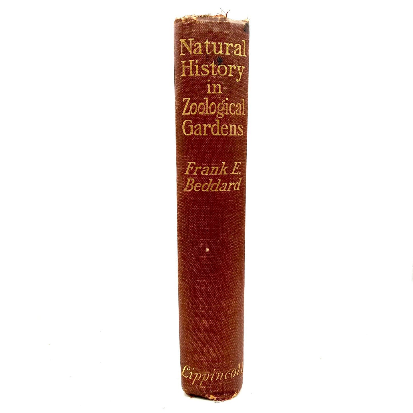 BEDDARD, Frank E. "Natural History in Zoological Gardens" [Lippincott, 1905] - Buzz Bookstore