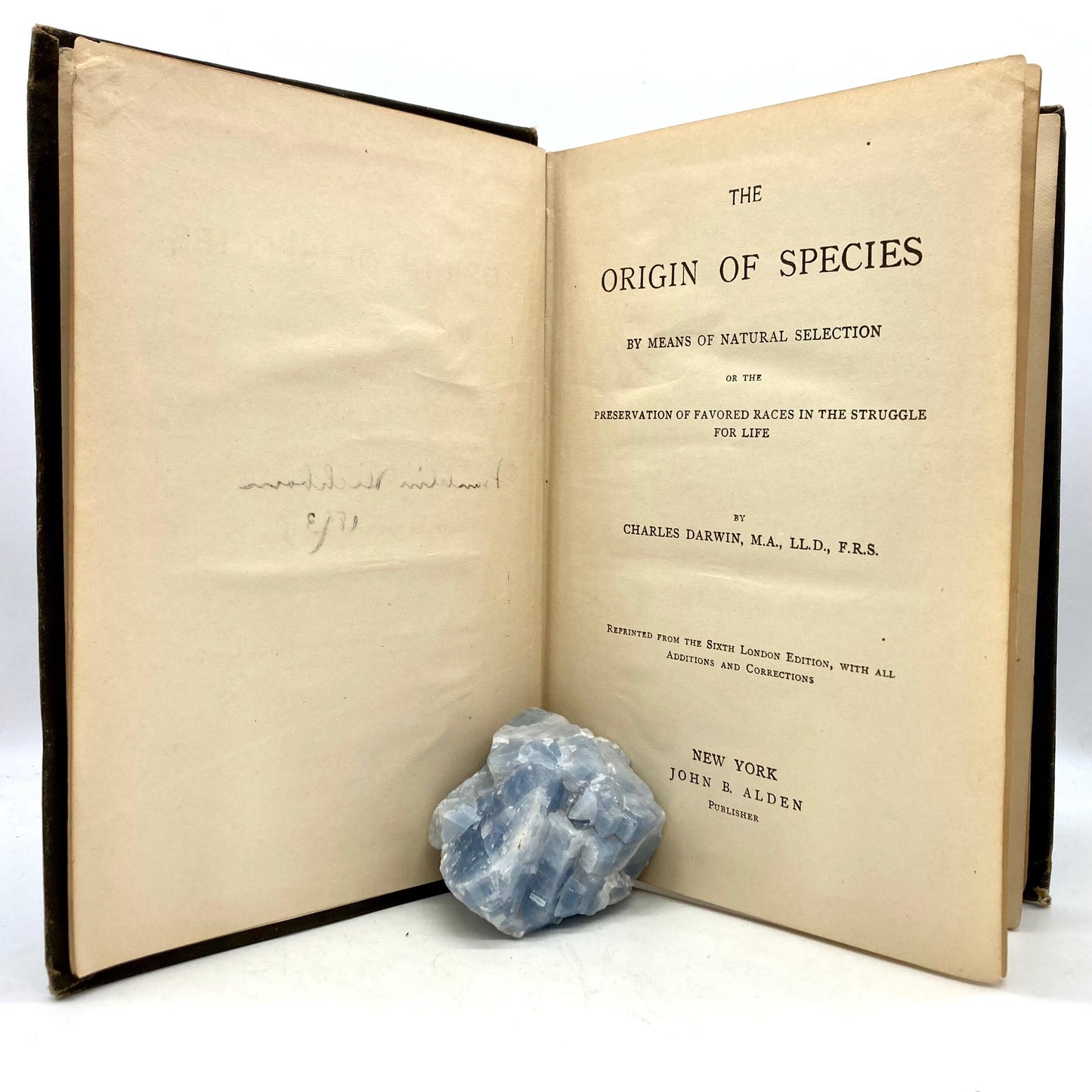 DARWIN, Charles "The Origin of Species" [John B. Alden, c1893] - Buzz Bookstore