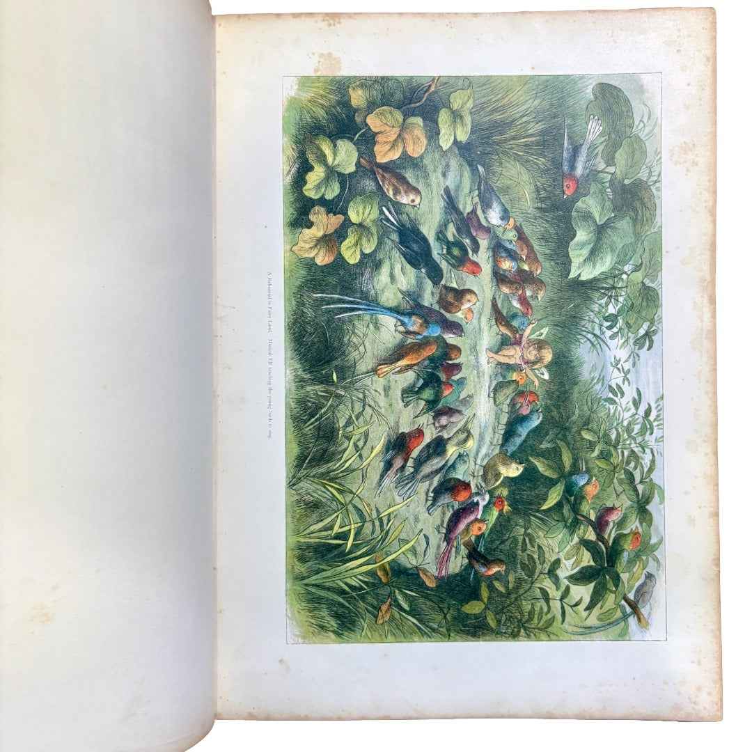 Doyle, Richard "Fairyland: A Series of Pictures from the Elf-World" [1875]