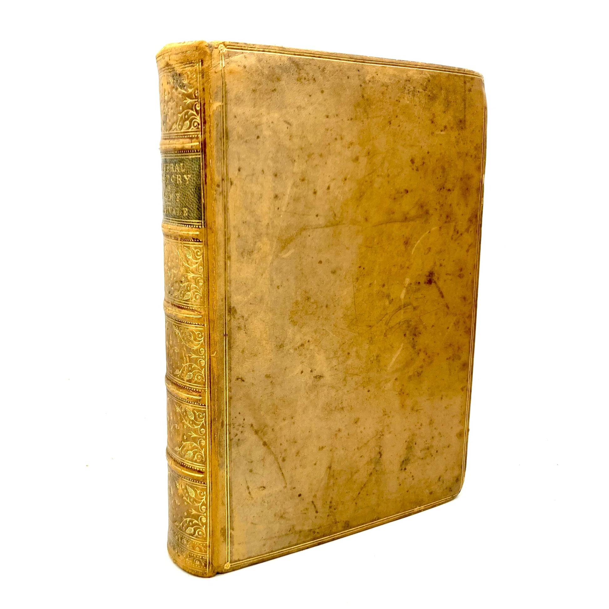 MERIVALE, Charles "A General History of Rome"[Longmans, Green & Co, 1875] - Buzz Bookstore