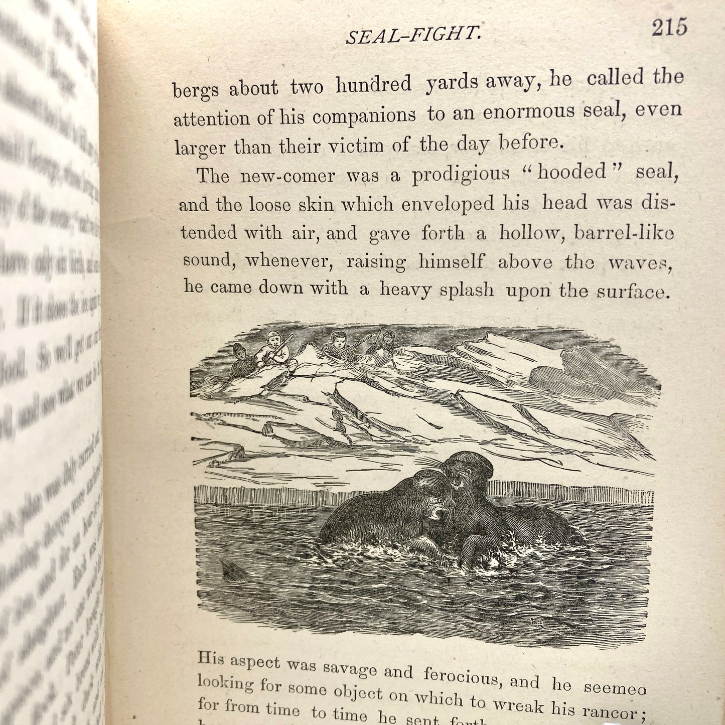 HALL, Charles W. "Adrift in the Ice Fields" [Lee and Shepard, 1877] 1st Edition