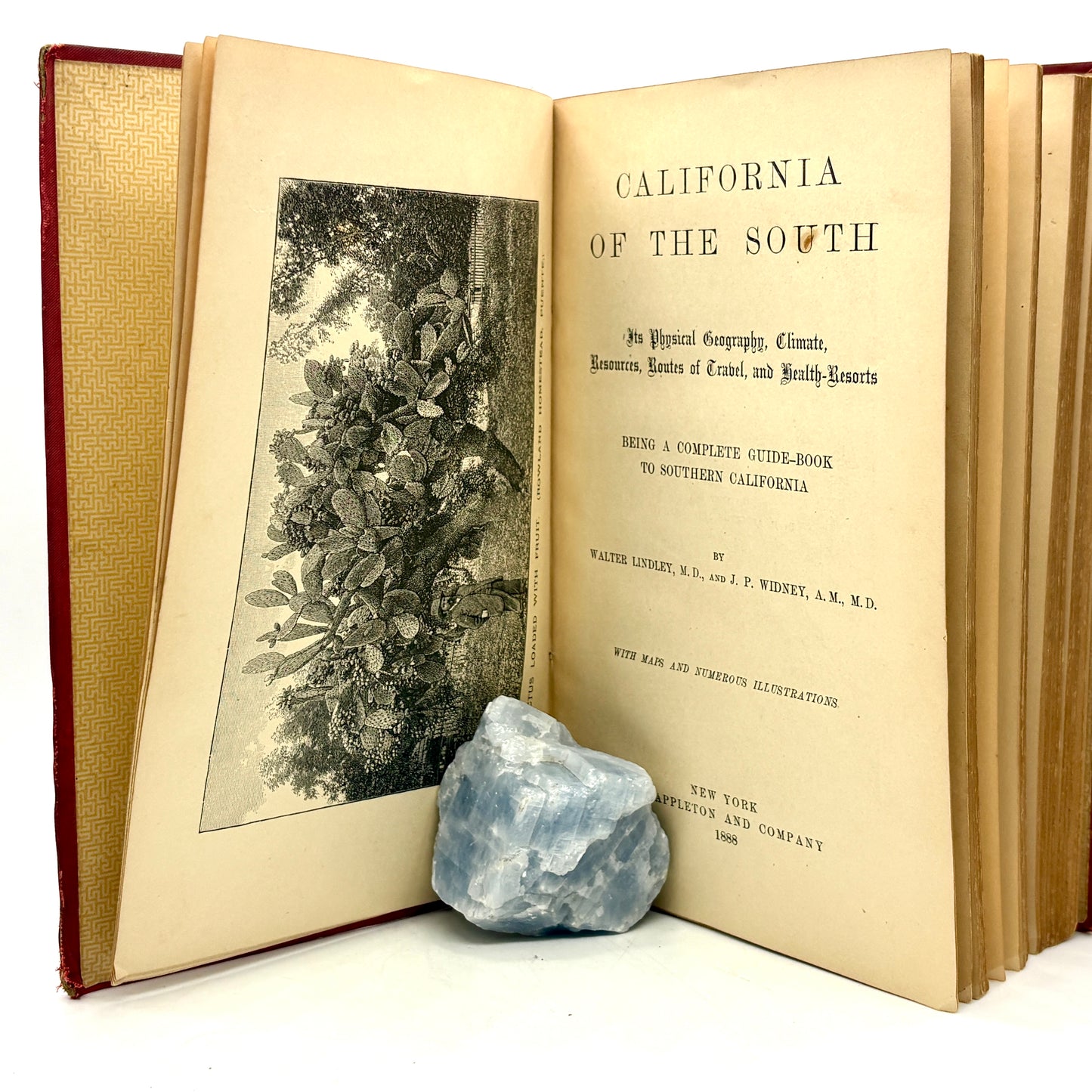 LINDLEY, Walter, & J.P. Widney “California of the South” [D. Appleton, 1888]