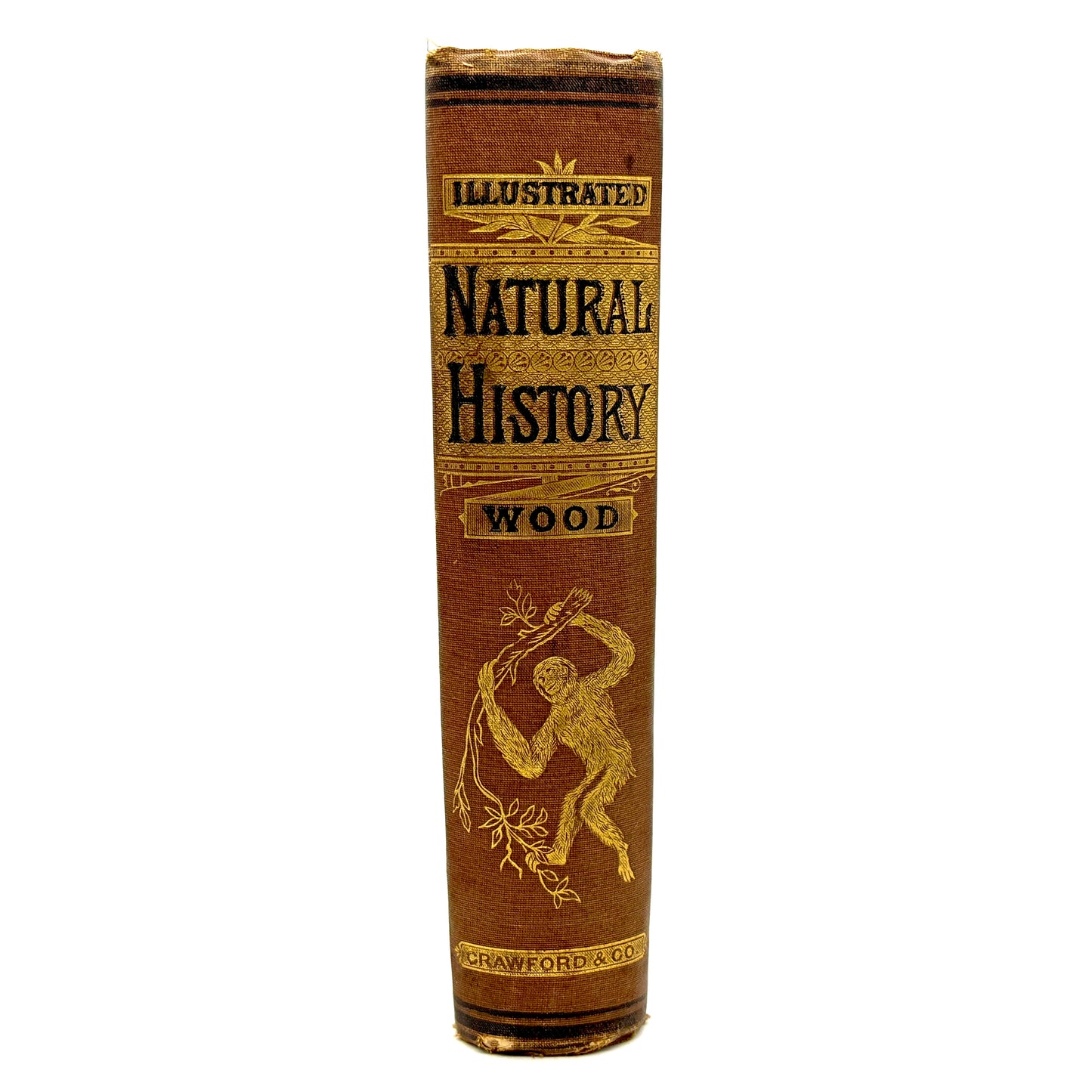 WOOD, Rev. J.G. "Illustrated Natural History" [Crawford & Co, 1883]