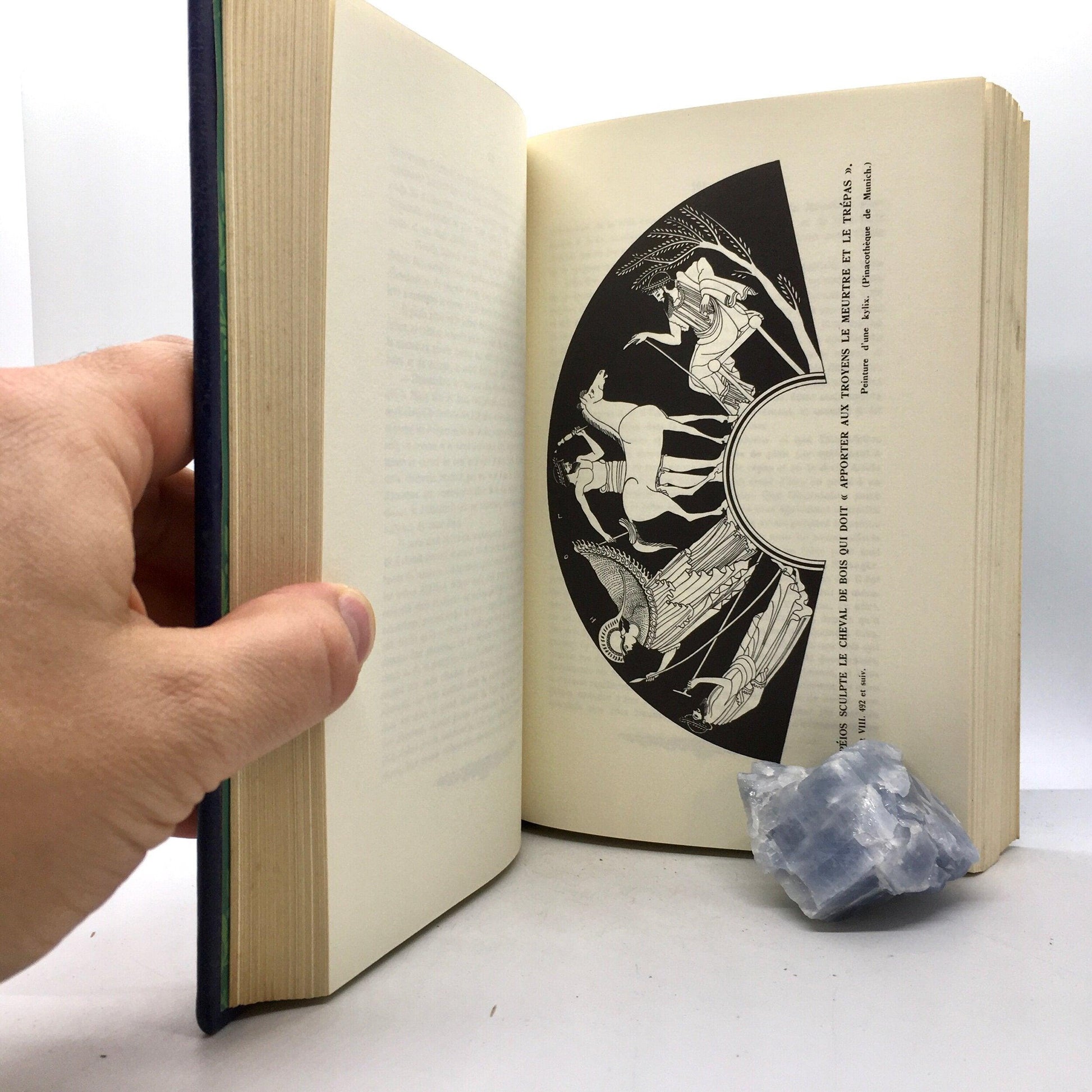HOMER “L’Odyssée de Homère” [Jean de Bonnot, 1973] - Buzz Bookstore