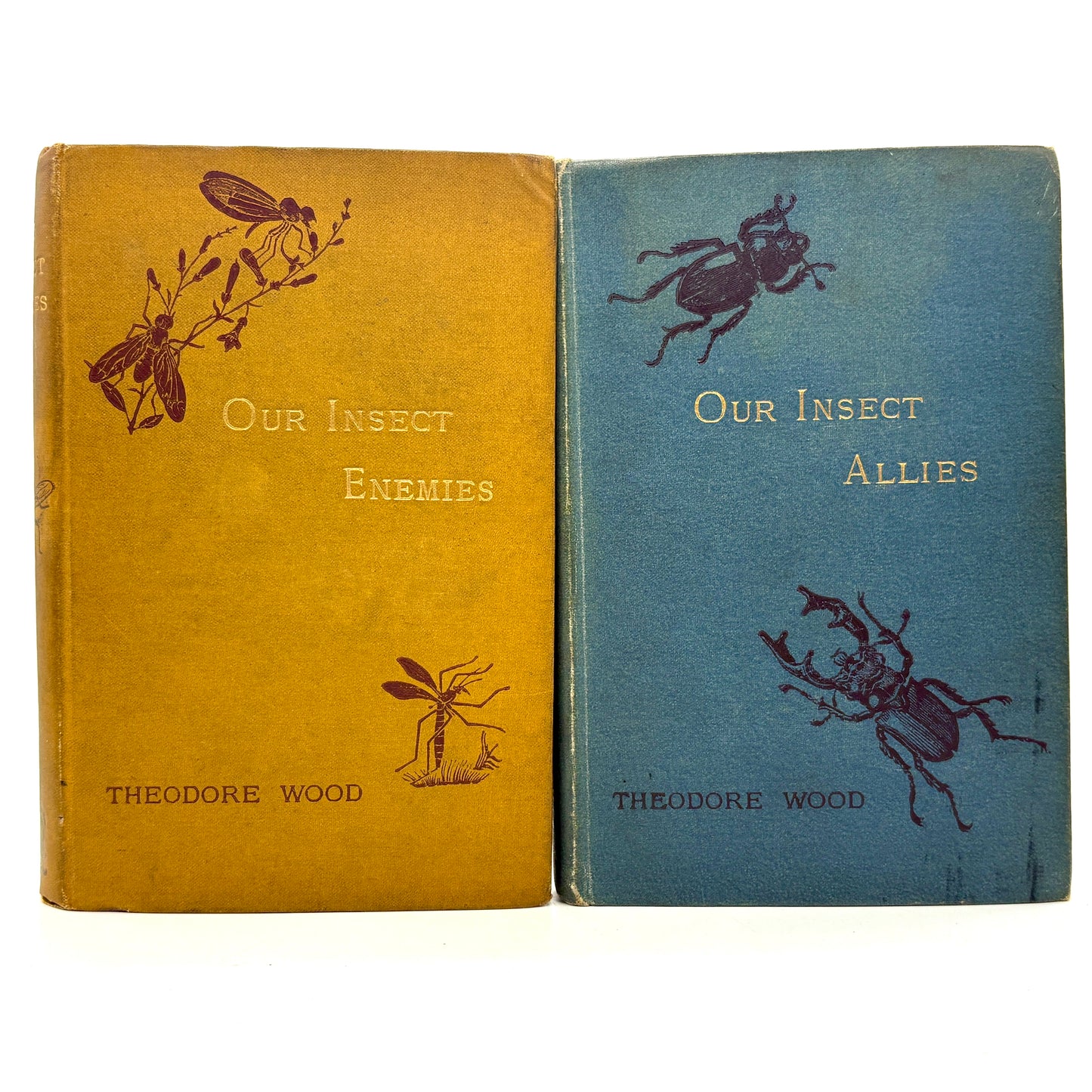 WOOD, Theodore “Our Insect Allies" & "Our Insect Enemies” [1884–1885]