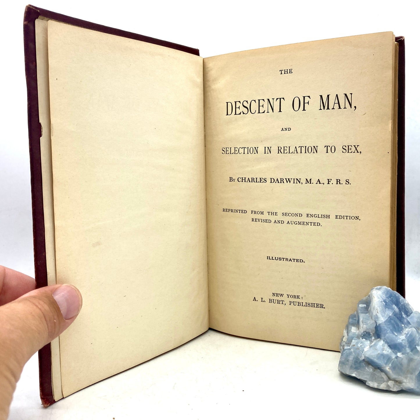 DARWIN, Charles "The Descent of Man" [AL Burt, n.d./c1890s]