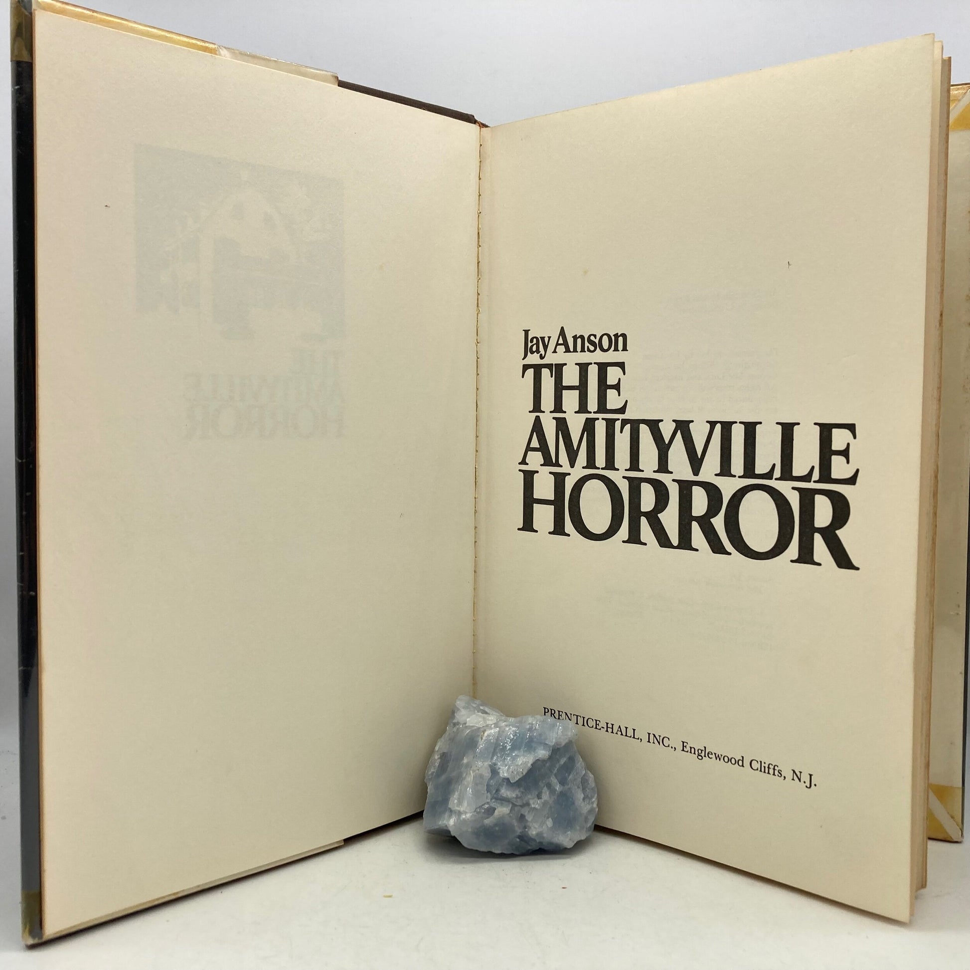 ANSON, Jay "The Amityville Horror" [Prentice Hall, 1977] - Buzz Bookstore