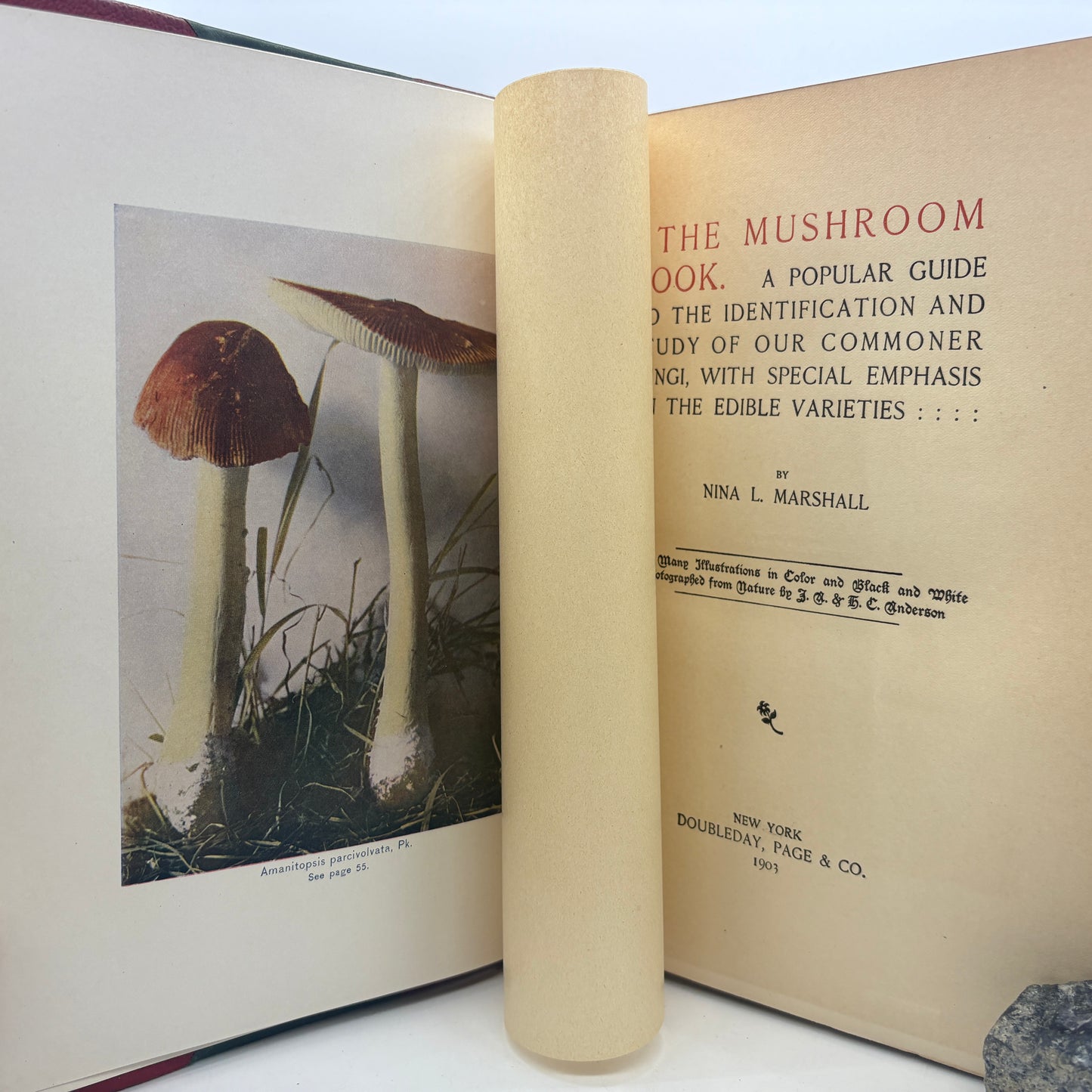 MARSHALL, Nina L. "The Mushroom Book" [Doubleday, Page & Co, 1903]