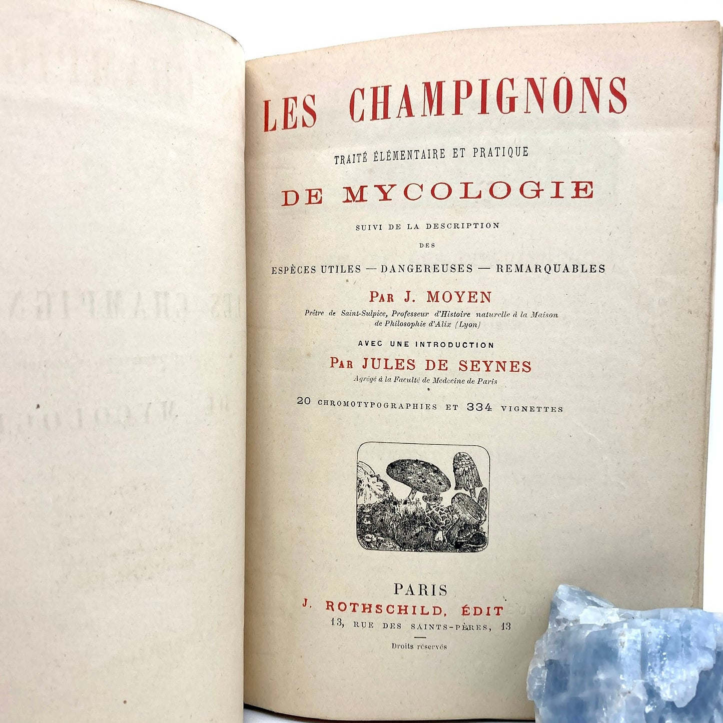 MOYEN, J. "Les Champignons, Traité Élémentaire de Mycologie" [J. Rothschild, n.d./c1888]