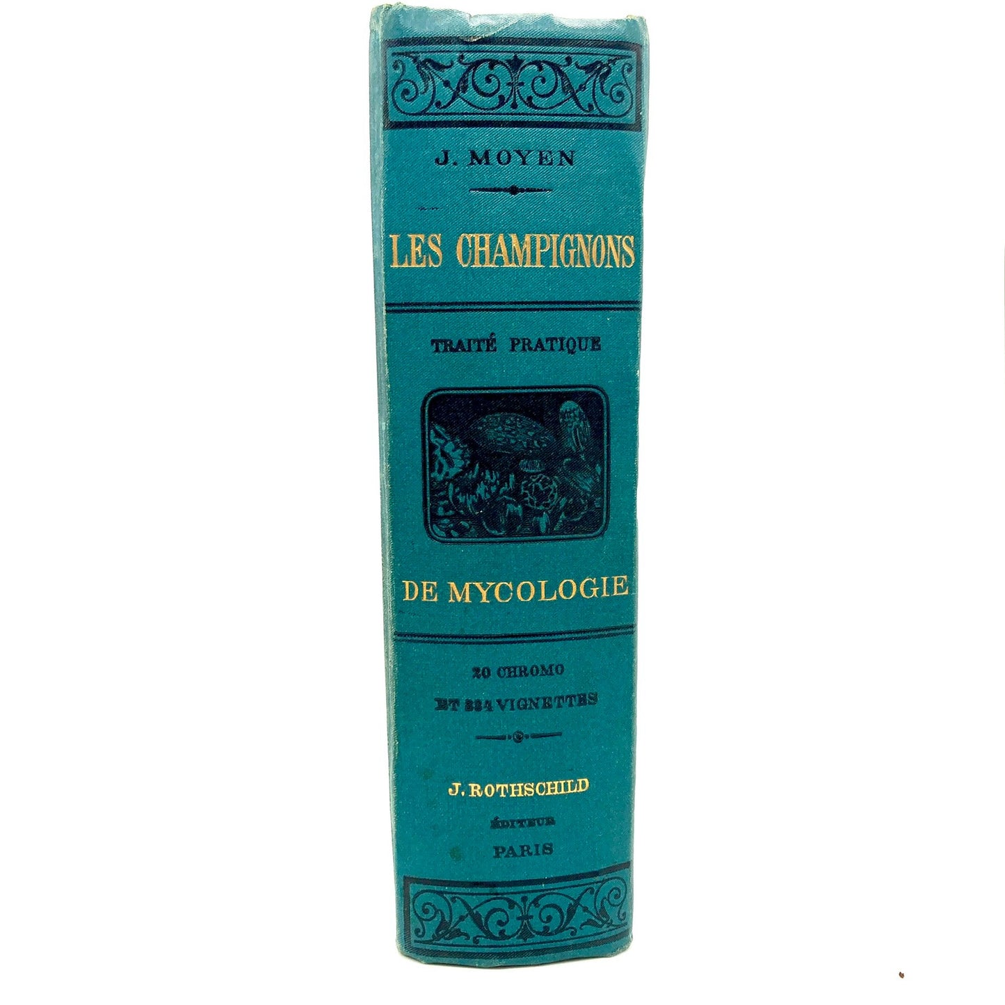 MOYEN, J. "Les Champignons, Traité Élémentaire de Mycologie" [J. Rothschild, n.d./c1888]