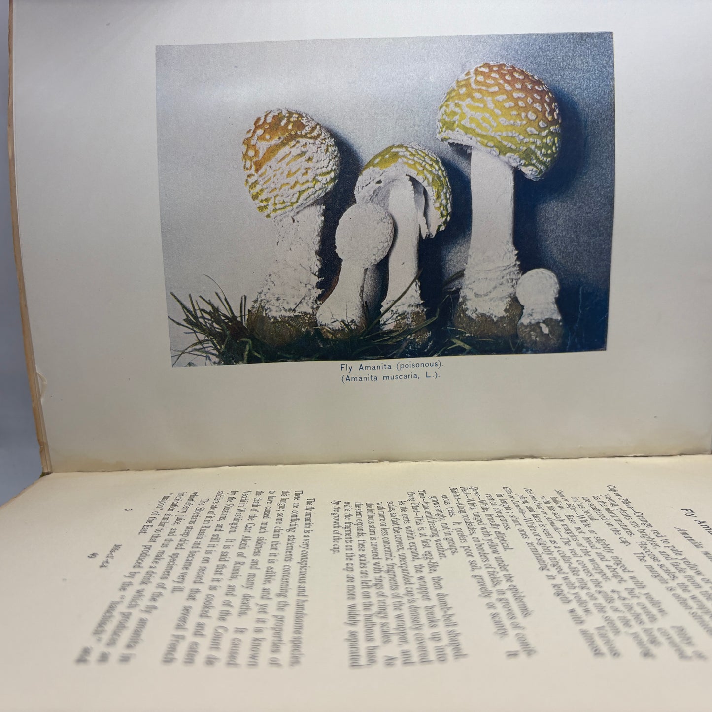 MARSHALL, Nina L. "The Mushroom Book" [Doubleday, Page & Co, 1903]