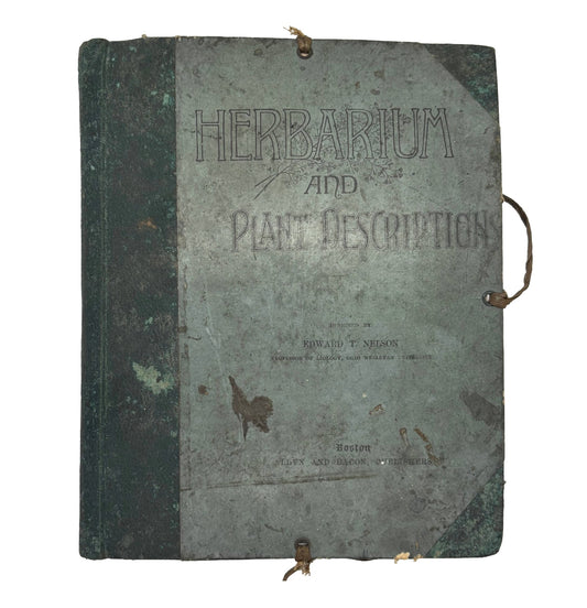 JOHNSON, Andrew Leonidus "Herbarium and Plant Description" [Allyn and Bacon, 1895]