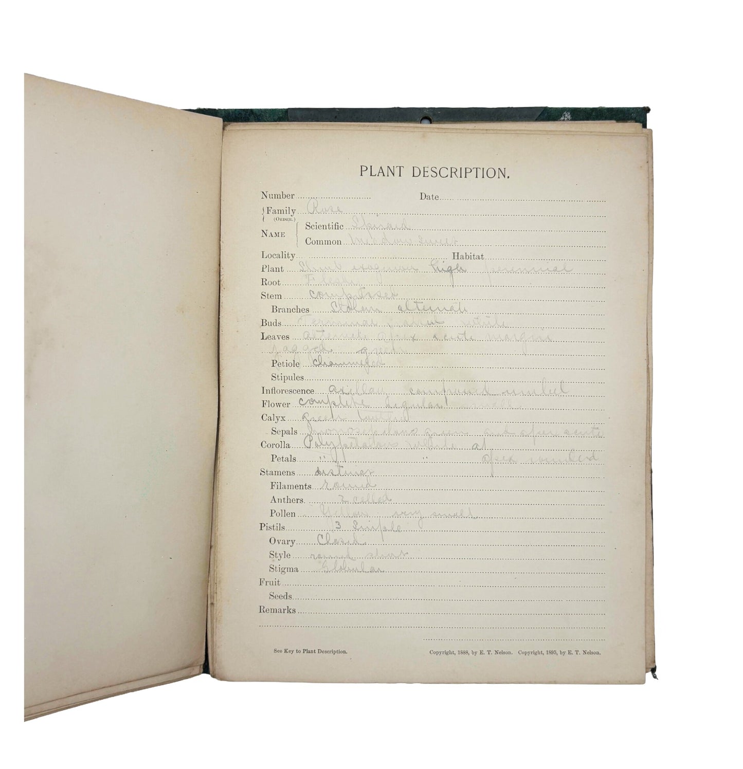 JOHNSON, Andrew Leonidus "Herbarium and Plant Description" [Allyn and Bacon, 1895]