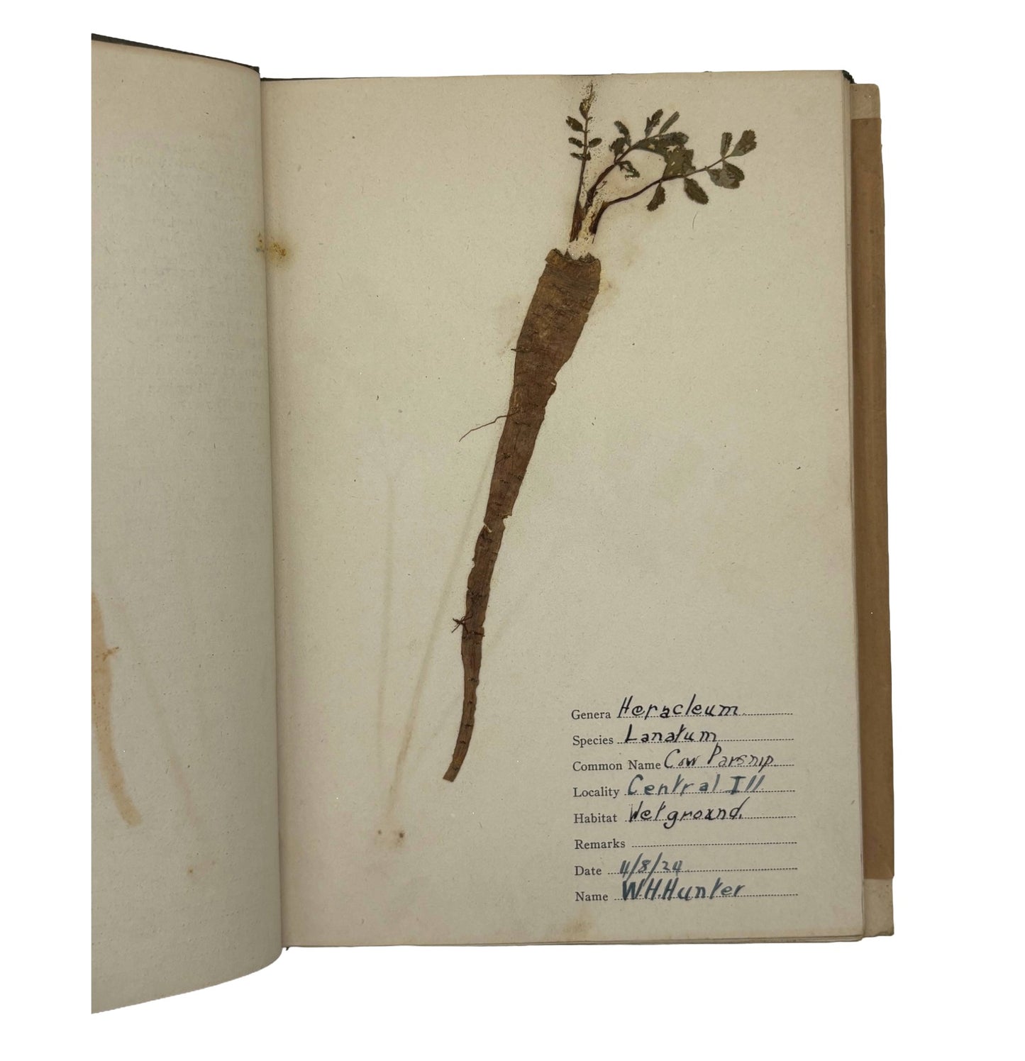 HUNTER, William H. "The Atlas Herbarium" [E.W.A. Rowles Co., n.d./c1924]