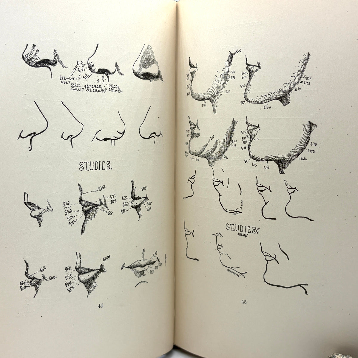 Merton, Holmes W. “Descriptive Mentality from the Head, Face, Hand” [David McKay, 1899]