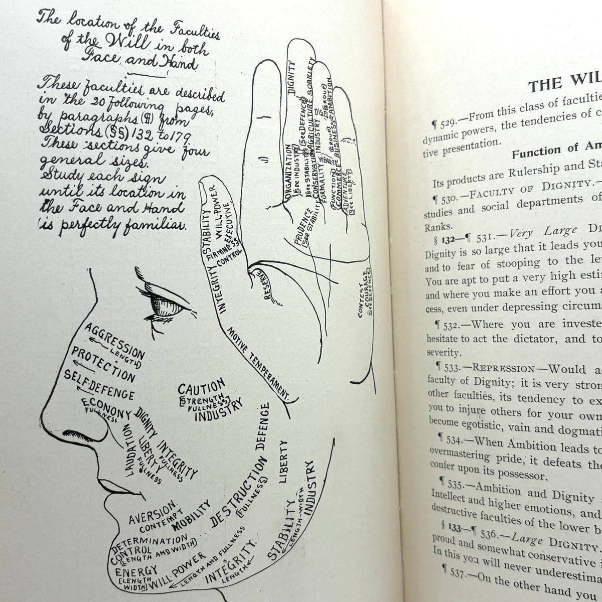 Merton, Holmes W. “Descriptive Mentality from the Head, Face, Hand” [David McKay, 1899]