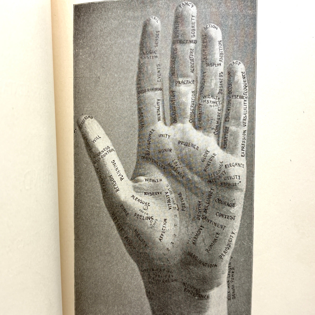 Merton, Holmes W. “Descriptive Mentality from the Head, Face, Hand” [David McKay, 1899]