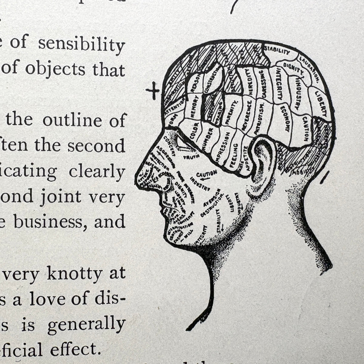 Merton, Holmes W. “Descriptive Mentality from the Head, Face, Hand” [David McKay, 1899]