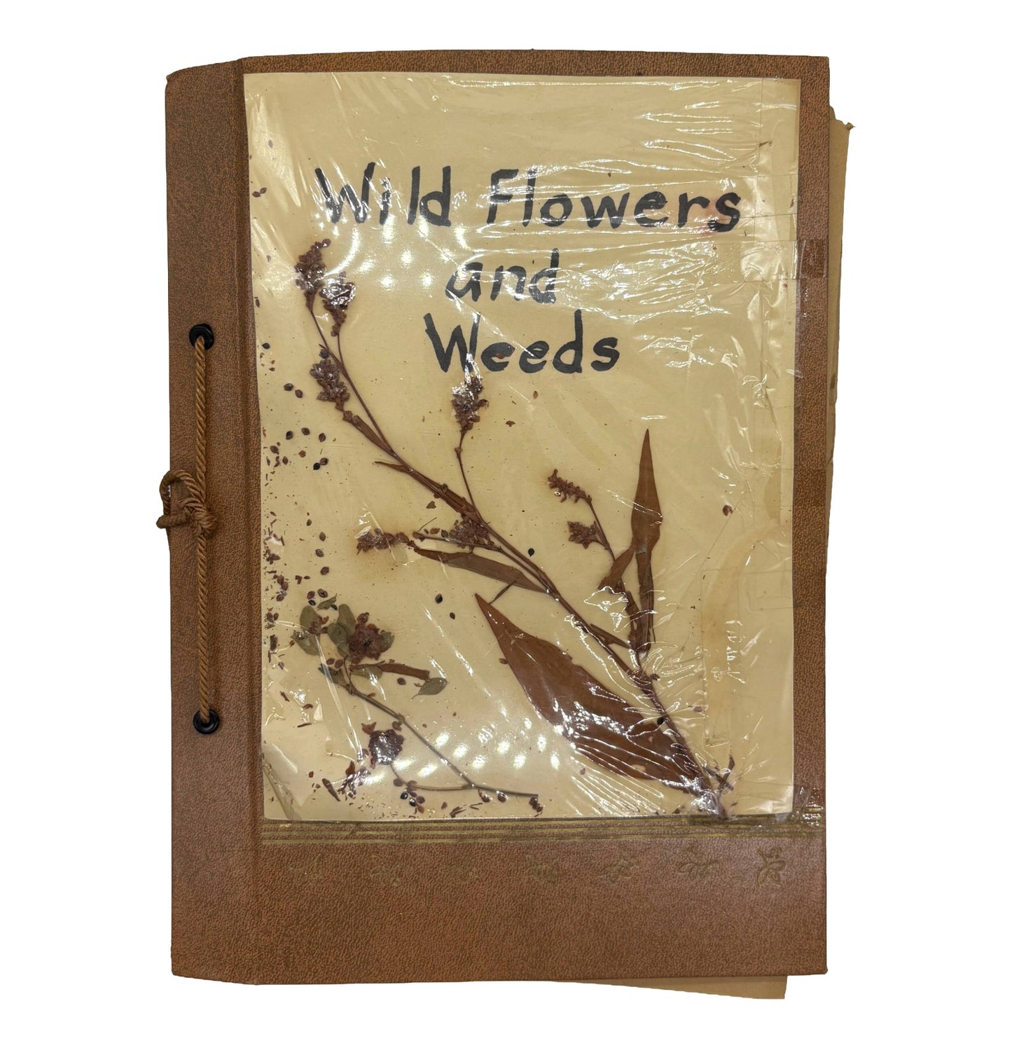 HOPKINS, Arlene "Common Wild Flowers and Weeds" [Handmade, 1962]