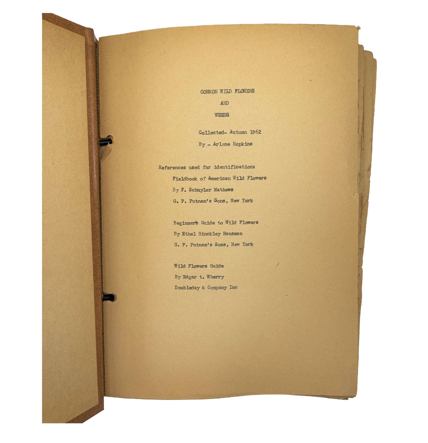 HOPKINS, Arlene "Common Wild Flowers and Weeds" [Handmade, 1962]