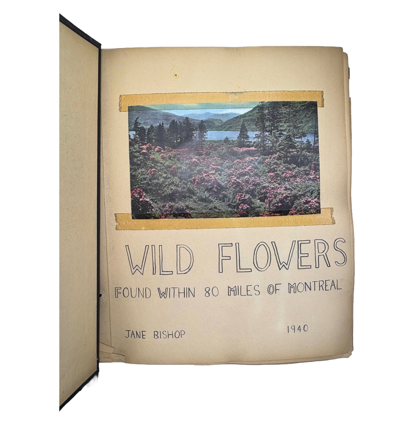 BISHOP, Jane "Wild Flowers Found Within 80 Miles of Montreal" [Self-published, 1940]