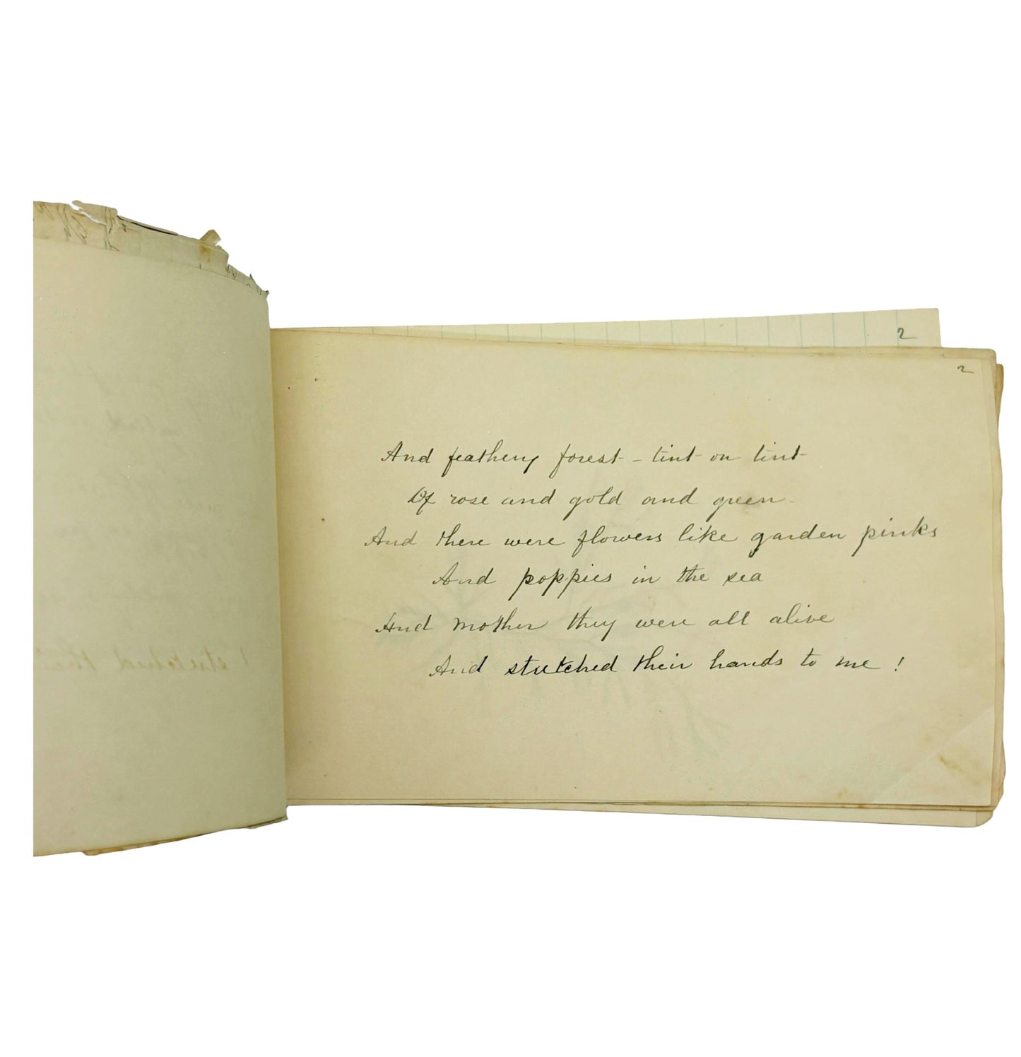 MORSE, S.R. - Untitled Seaweed Herbarium [Handmade, n.d./c1880s]